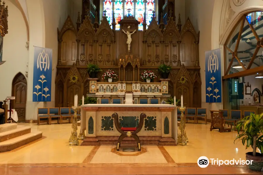 Cathedral of the Immaculate Conception at Saint John