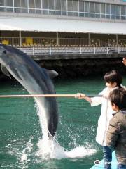 淡島 海洋公園