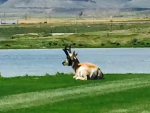 Rochelle Ranch Golf Course