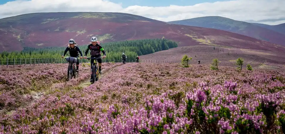 Hotels near Glentress Forest