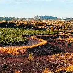 Các khách sạn ở Bajo Aragon