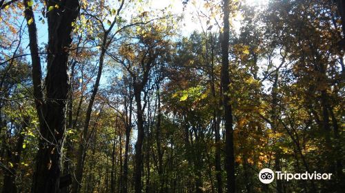 Humiston Woods Nature Center