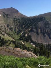 Targhee National Forest