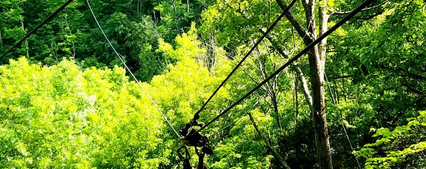 Ozone Zipline Adventures at YMCA Camp Kern