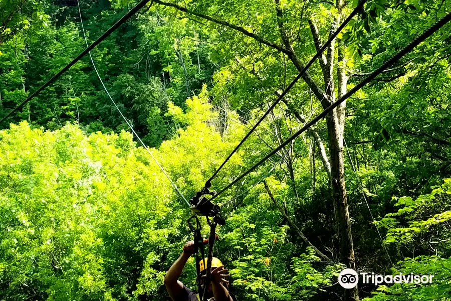 Ozone Zipline Adventures at YMCA Camp Kern