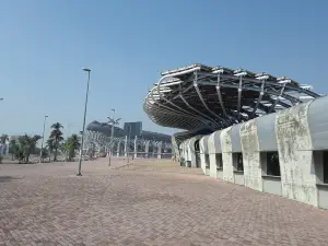 高雄體育場