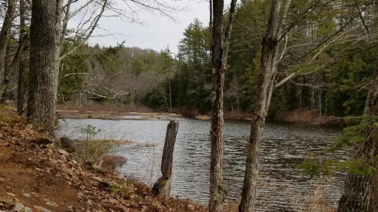 Ossipee Lake Rd