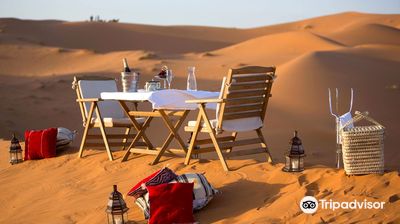 Abu Dhabi Desert Safari