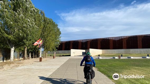 Museo Villa Romana De La Olmeda
