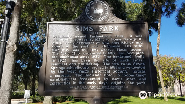 Sims Park
