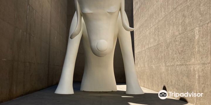Aomori Museum of Art