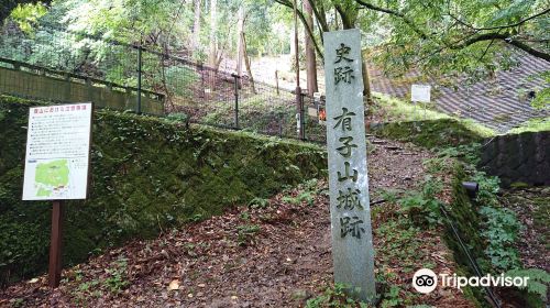 Arikoyama Castle Ruins
