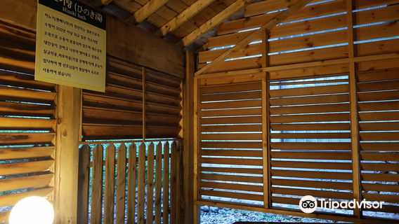 Osaek Carbonated Hot Spring