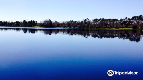 Grassy Waters Preserve