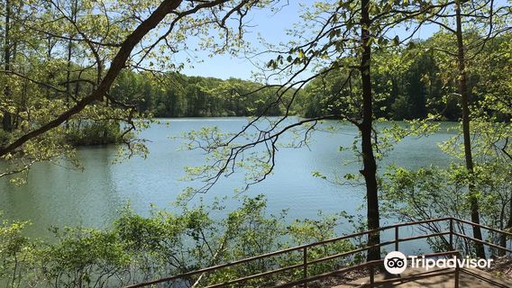 Montgomery Bell State Park