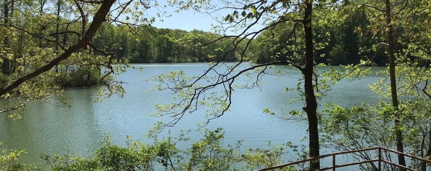 Montgomery Bell State Park