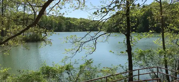 Hotels in Dickson County