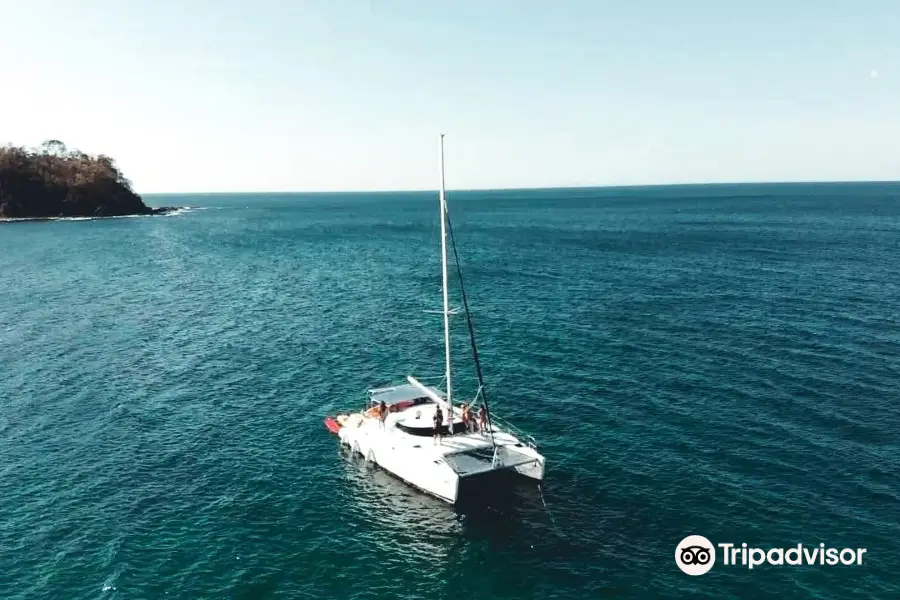 Playtide Catamaran & Charters