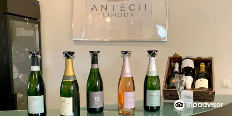 Antech