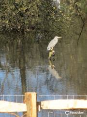 Bradbourne Lake Park