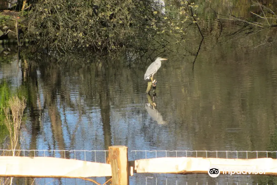 Bradbourne Lakes