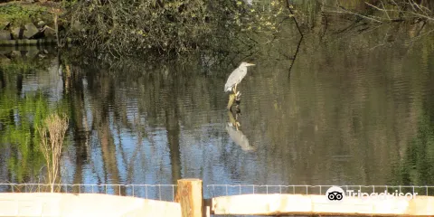 Bradbourne Lake Park