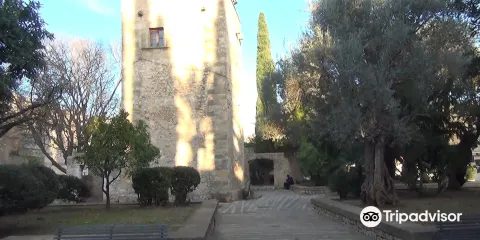 Jardines Joan March y Torre Desbrull