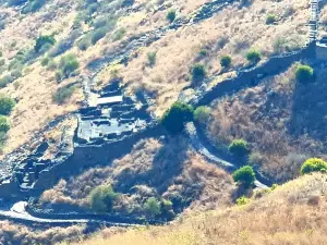 Gamla Nature Reserve