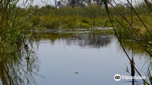 Okavango River