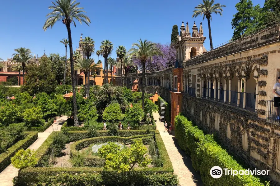 Jardines de los Reales Alcazares