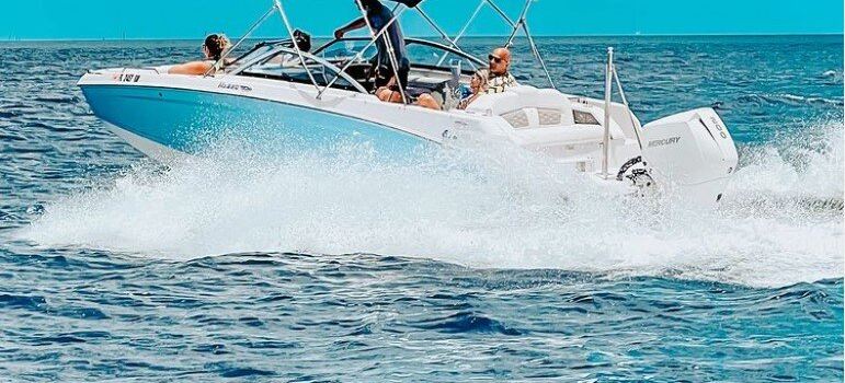 Dolphin Safari Charters