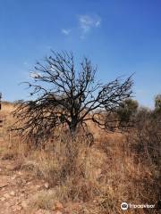 Kloofendal Nature Reserve