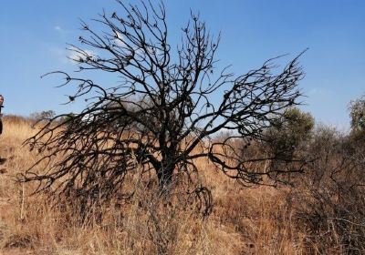 Kloofendal Nature Reserve