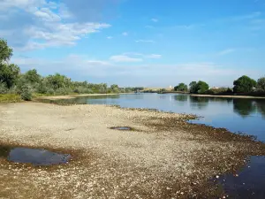Реджистер Клифф