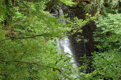 Falling Foss Tea Garden