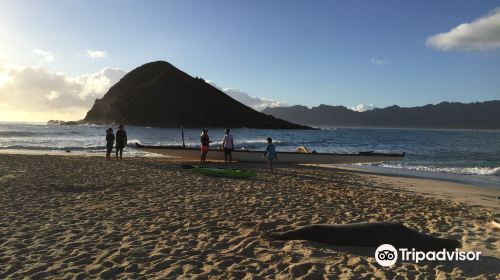 Hawaiian Paddle Sports - Kailua