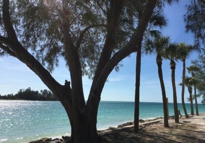 Coquina Beach