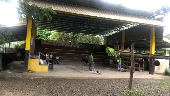 Chiang Mai Monkey Centre