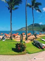 Kauai Beach Boys