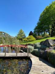 Jardins aquatiques d'Acorus