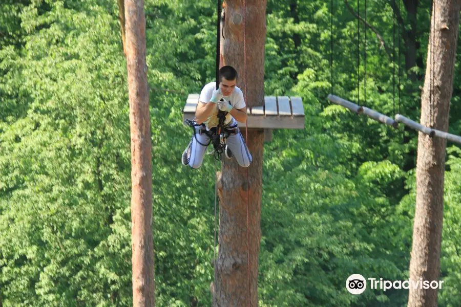 Extreme Park Crazy Squirrel