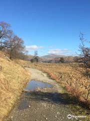 Lake District Bikes