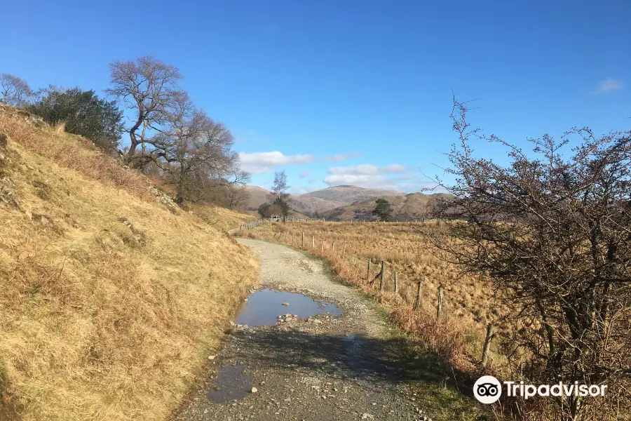 Lake District Bikes