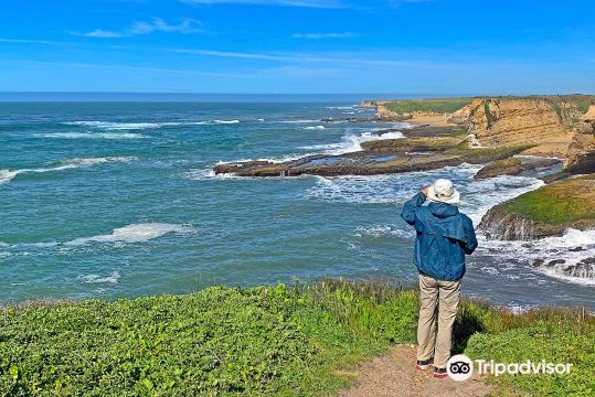 Wilder Ranch State Park