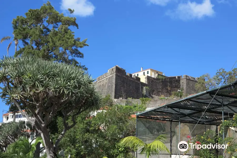 Manor Estate of the Crosses Museum (Quinta das Cruzes)