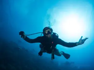 Panama City Diving