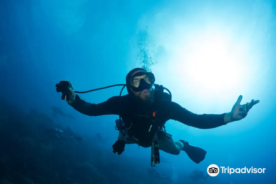 Panama City Diving