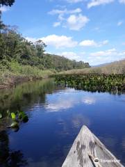 Pantanal de Marimbus