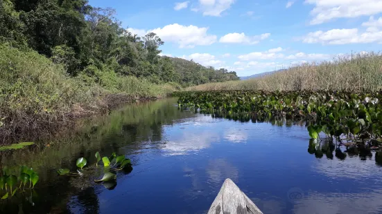 Pantanal de Marimbus