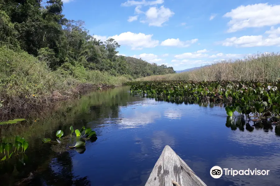 Pantanal de Marimbus